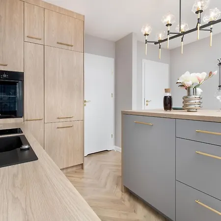 Elegant For 2 People In By Renters 公寓 格但斯克